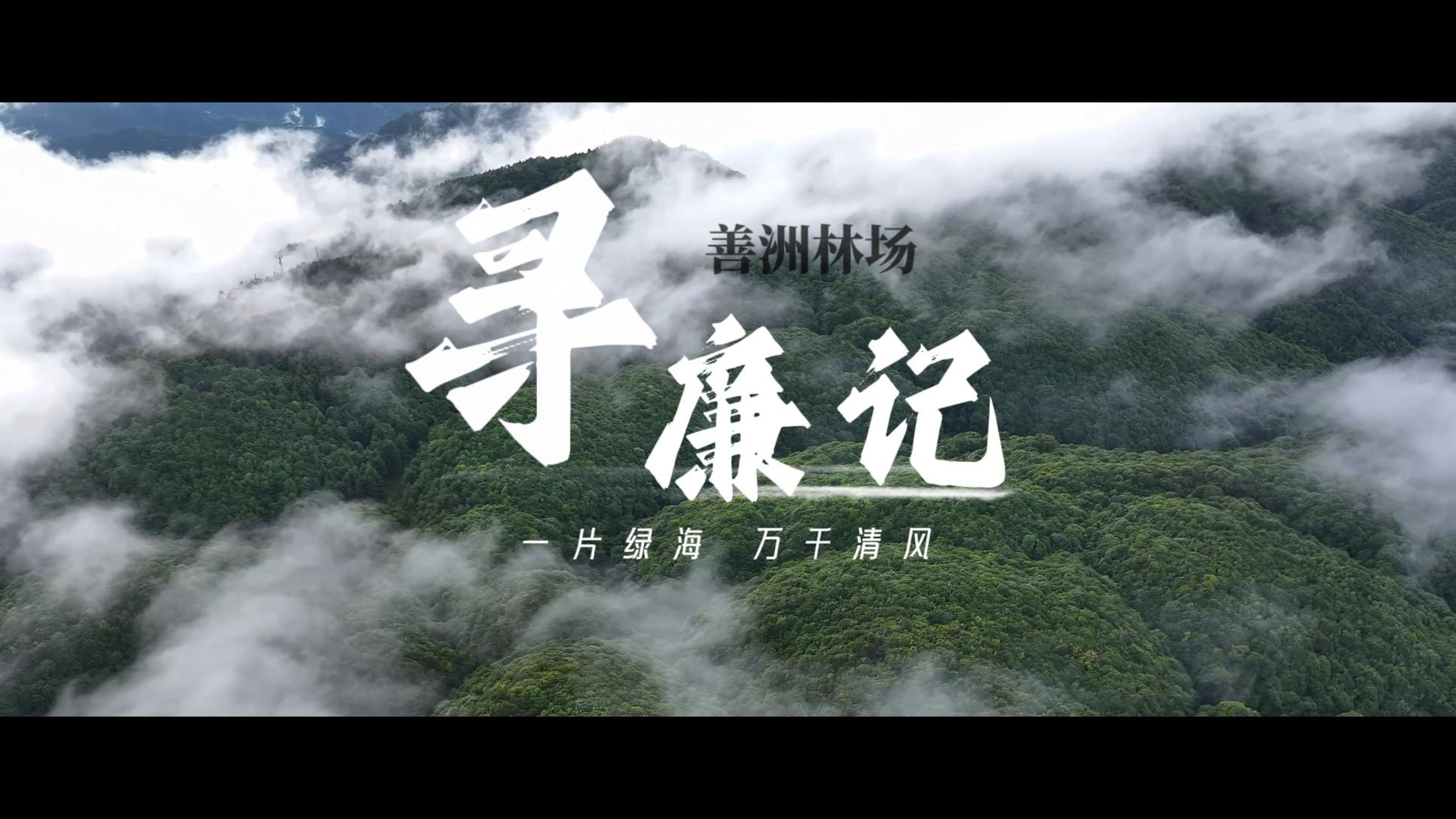【寻廉记】一片绿海，万千清风