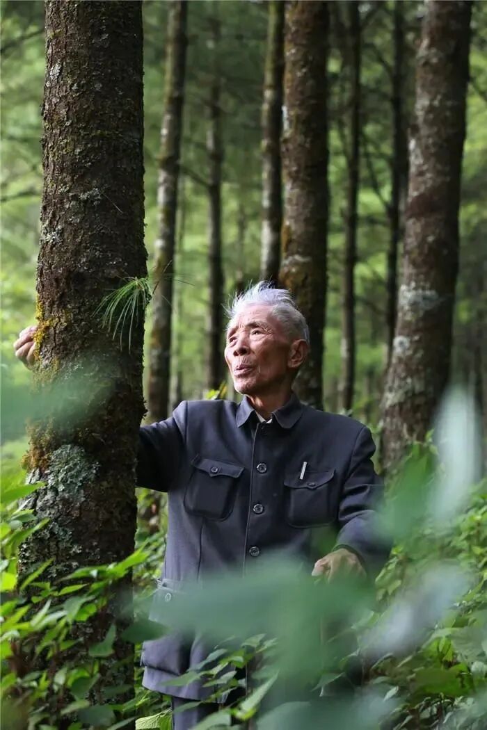 杨善洲：一辈子的赤子之心，把生命最后的霞光，化为家乡大亮山上永恒的春天