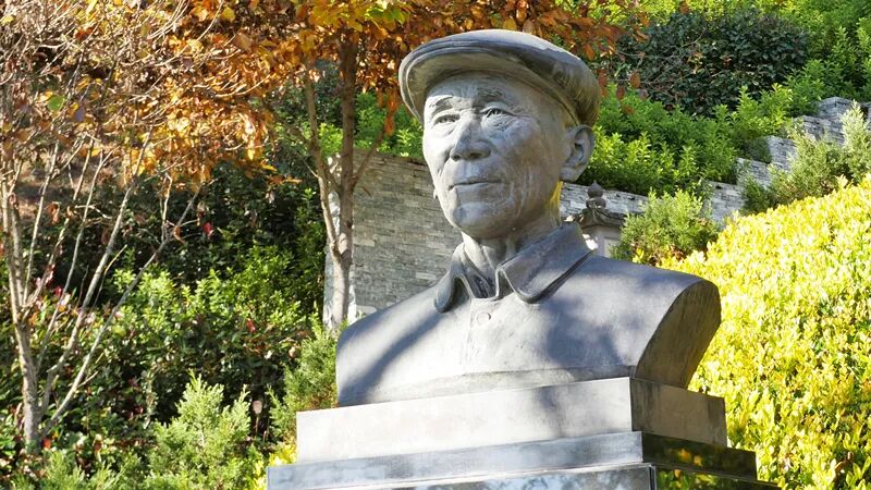 打卡云南红色地标 |一草一木见证崇高信仰，走进善洲林场