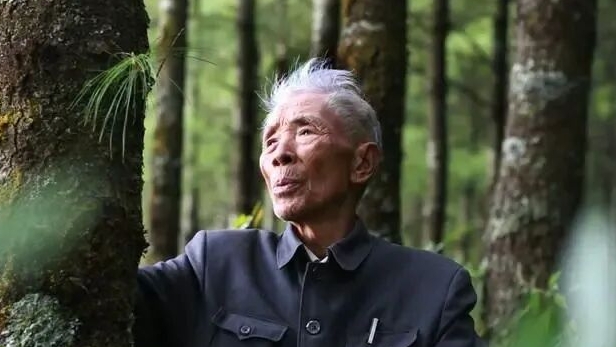 杨善洲：一辈子的生命坐标，心永远贴在群众的脉搏上