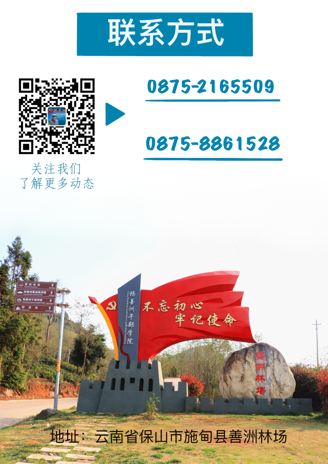 传承弘扬杨善洲精神丨银杏树