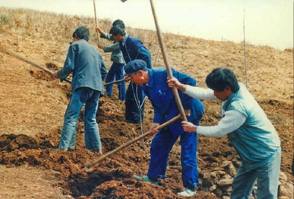 树立和践行正确政绩观 | 杨善洲的“树”，照见什么样的政绩观？