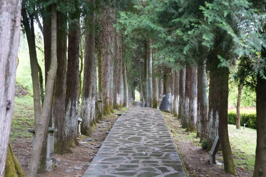 树立和践行正确政绩观丨用好鲜活教材 书写实干答卷——重返“善洲故里”探寻足迹里的政绩观（四）