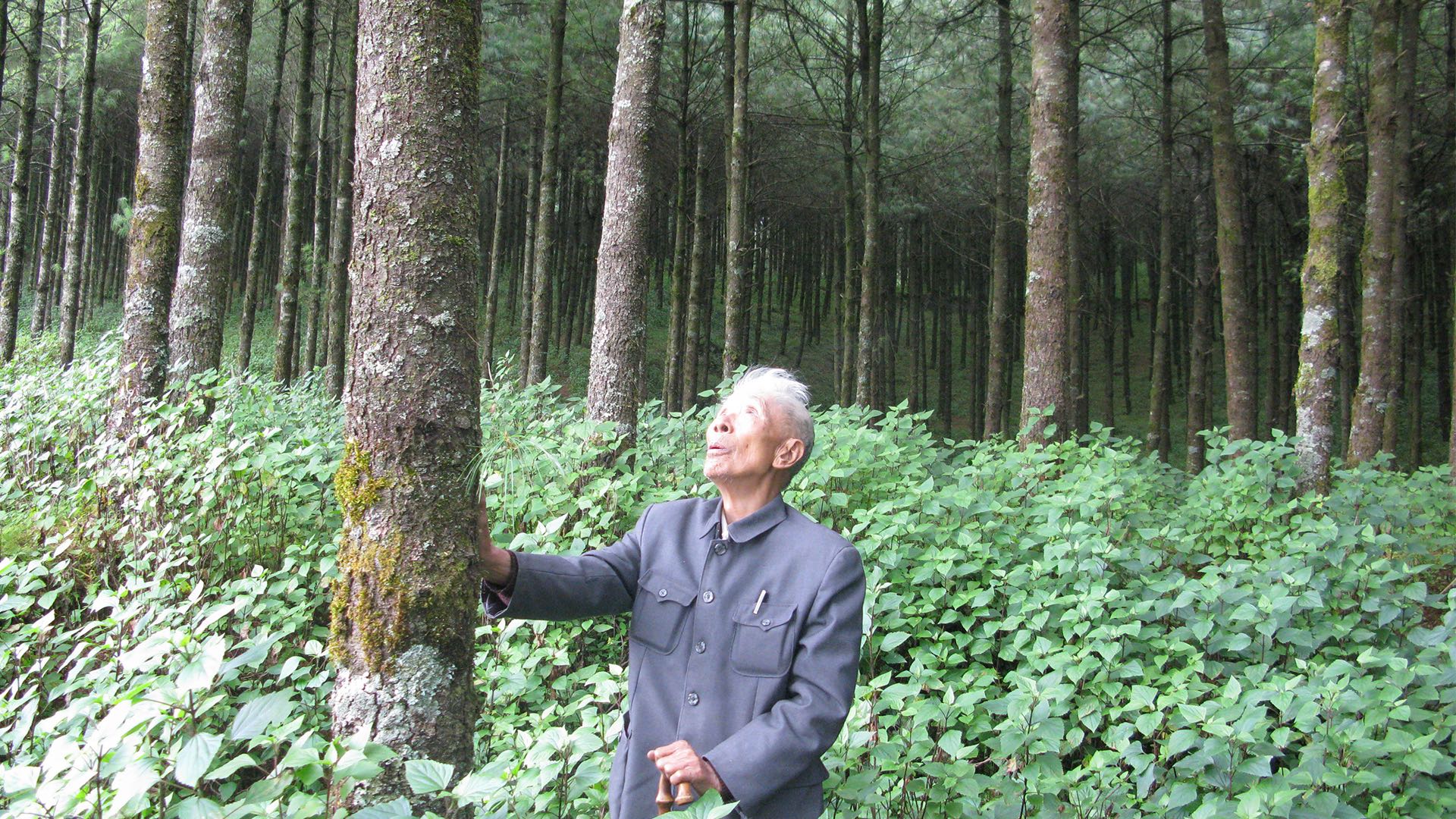 从习近平总书记讲述的故事中感悟正确政绩观丨“一辈子为民造福，一辈子克己奉公”