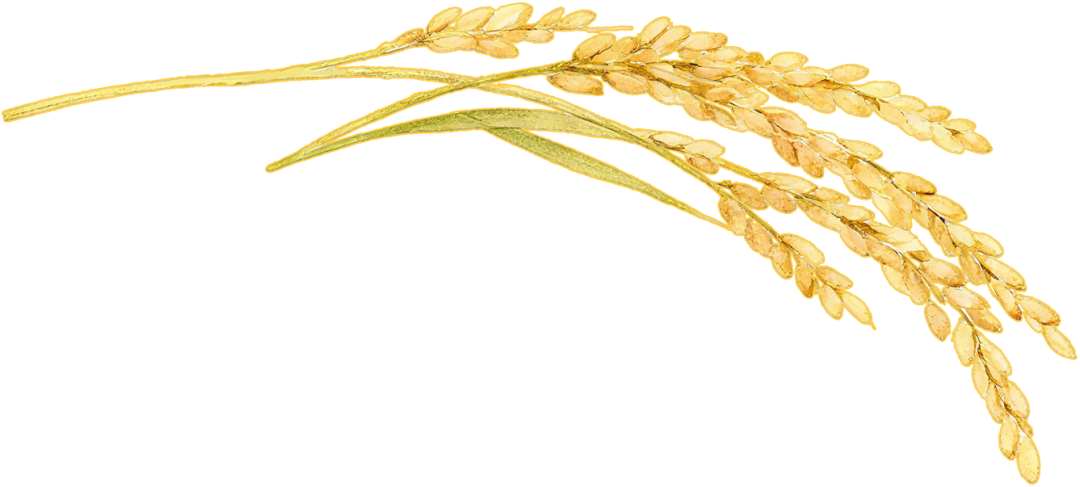 树立和践行正确政绩观 | 让每寸土地成为沃土良田——重返“善洲故里”探寻足迹里的政绩观（二）