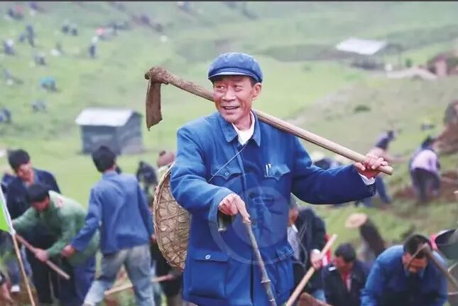 树立和践行正确政绩观｜《杨善洲》：政绩刻在百姓心中