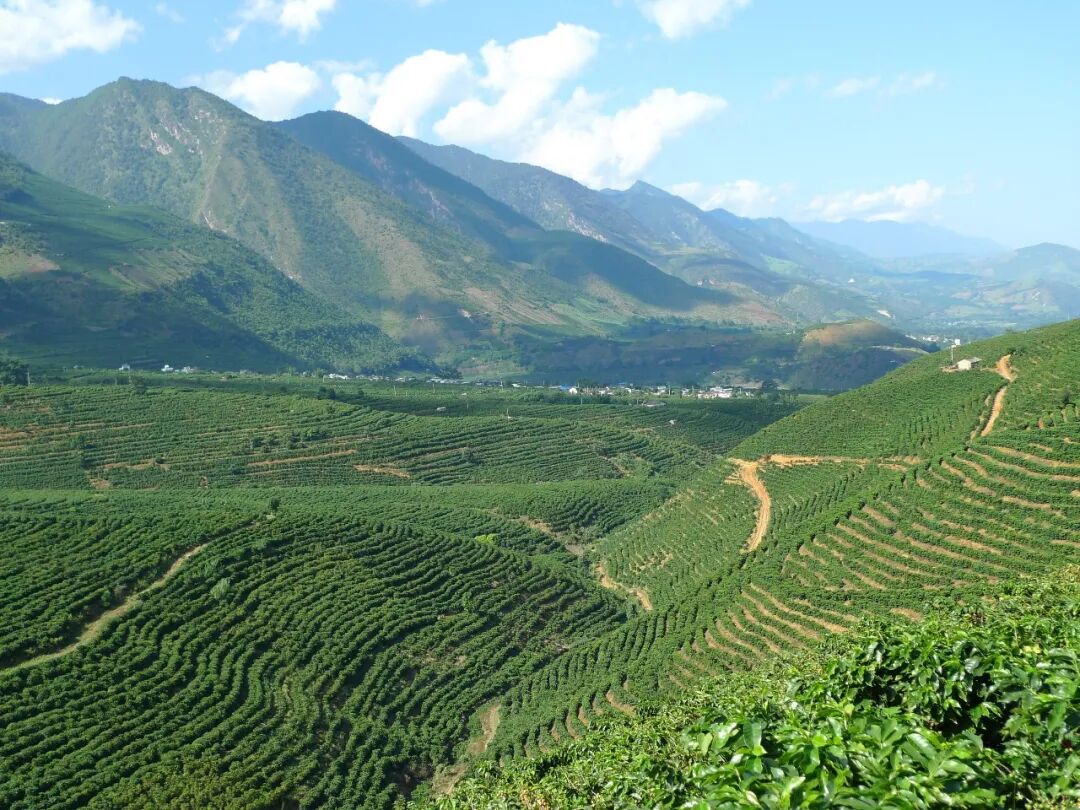 树立和践行正确政绩观 |捧一粒红果造福万家百姓——重返“善洲故里”探寻足迹里的政绩观（三）