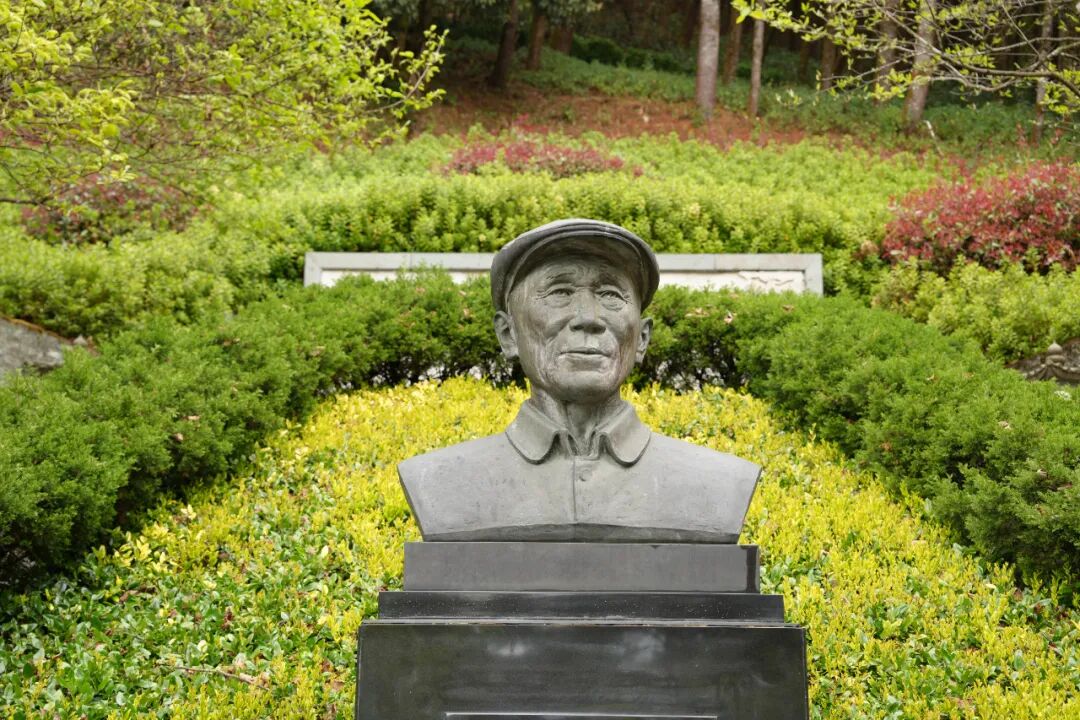 云南杨善洲干部学院：在山林课堂校准政绩观