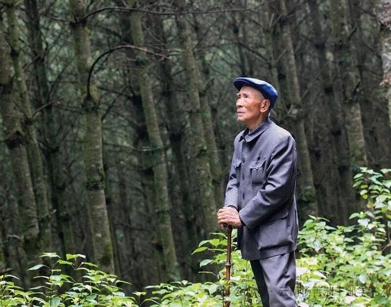 《瞭望》刊文：在“责任山”上踏实干