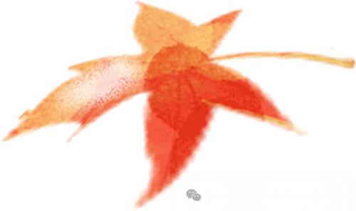 杨善洲的政绩观答卷